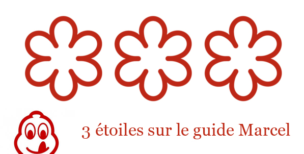 les_eetoiles_du_chef_Thierry.jpg